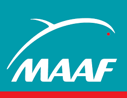 assistance depannage auto avec la maaf